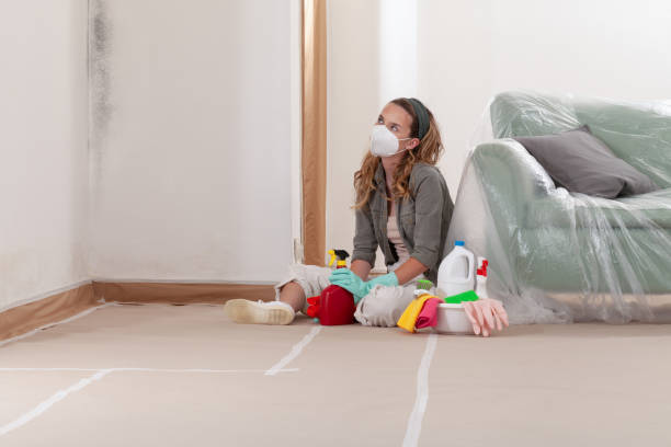 Reliable Basement Mold Remediation contractor in Strasburg, VA by WQB Mold Removal